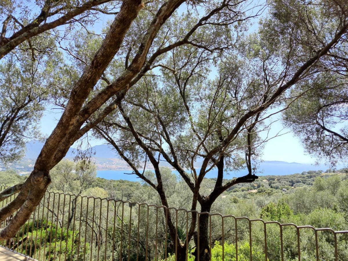 Résidence Licciola Propriano  Extérieur photo